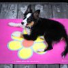 Hundematte -Katzenmatte- Tiermatte Petsmats Hello Sunshine pink - geeignet für Hundesport, Outdoor & Indoor, Maschinenwäsche, 100% Schadstofffei