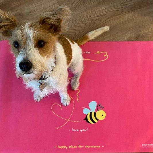 Pets Mats “Be(e)cause i love you – pink”